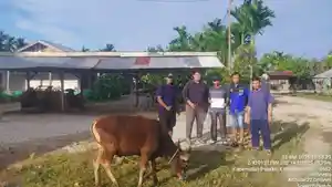 arara-abadi-salurkan-kambing-dan-sapi-kurban.jpg