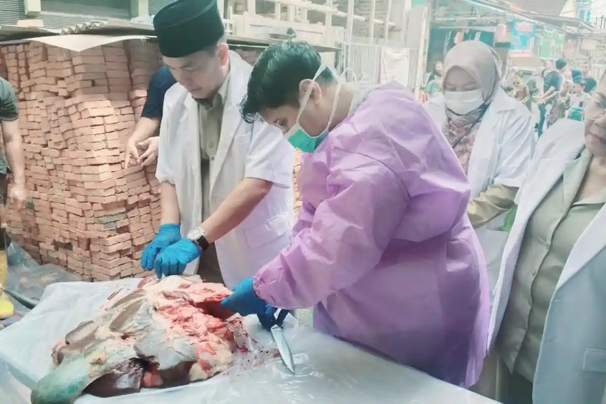 138 Kg Organ Hewan Kurban Tak Layak Konsumsi di Jaktim Dimusnahkan , Ada Paru hingga Jantung