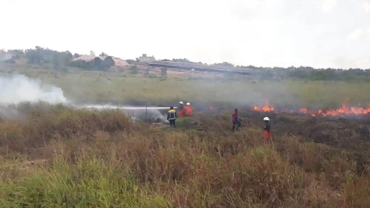 25 Kali Lahan di Tanjungpinang Terbakar, Warga Bakar Sampah Jadi Salah Satu Penyebab