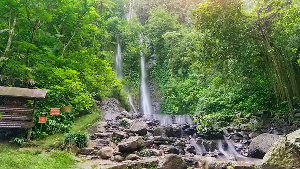 5 Rekomendasi Tempat Wisata di Bogor yang Dingin, Harga Tiket Masuknya Murah Meriah