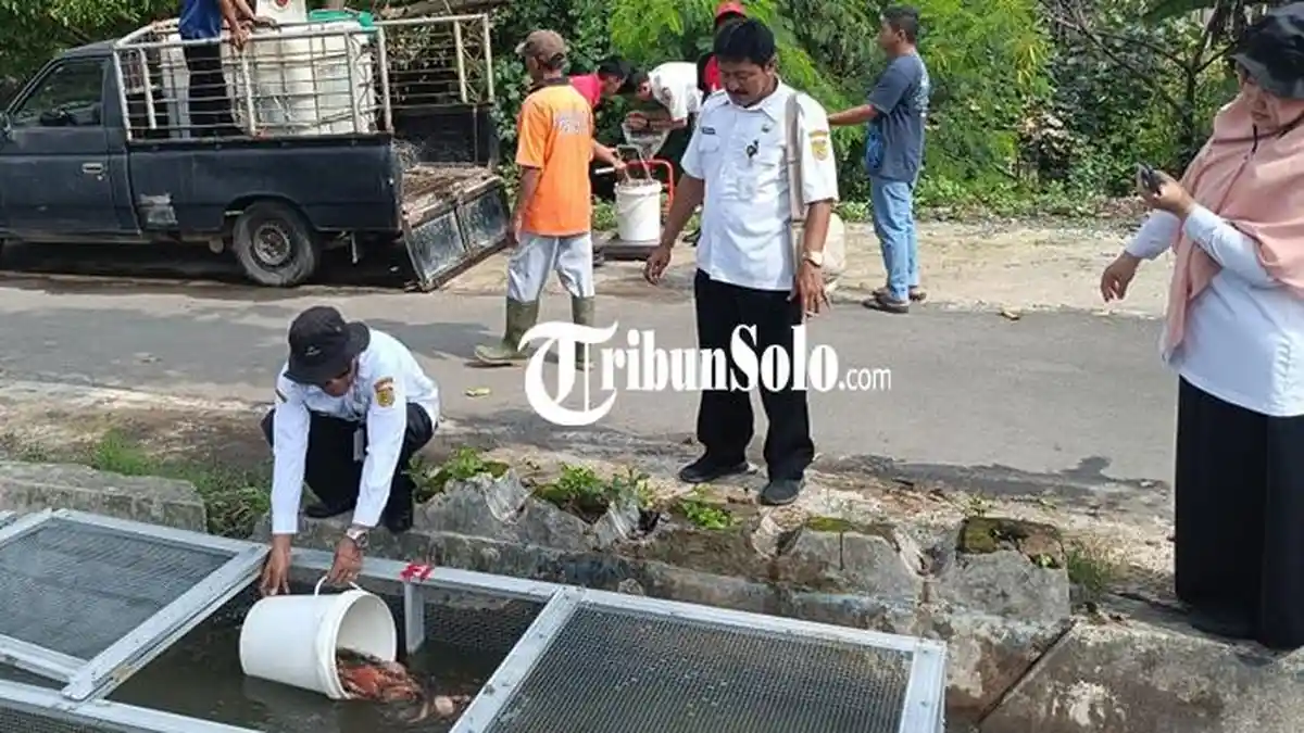 Manfaatkan Saluran Irigasi untuk Budidaya Ikan, Distanakan Sukoharjo Harap Dampak Positif Bagi Warga