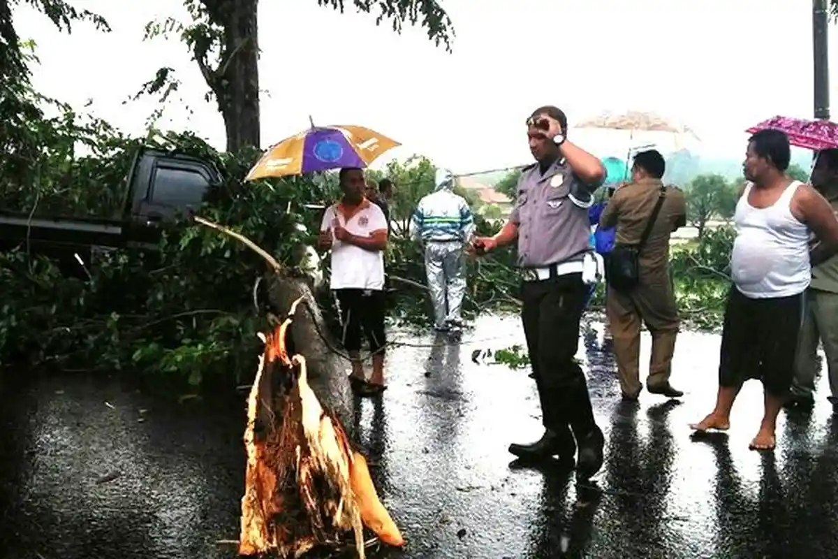 Pohon Tumbang Menimpa Mobil, Angin Puting Beliung Sapu Kawasan Tomo dan Ujungjaya