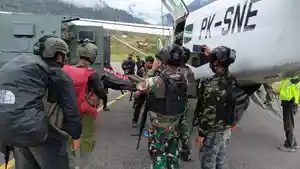 TNIpetirs2901.jpg