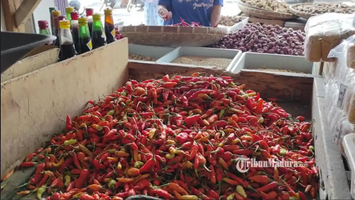 Jelang Ramadan, Harga Cabai Rawit di Kota Blitar Berangsur Turun, Kini Seharga Rp 85 Ribu/Kg