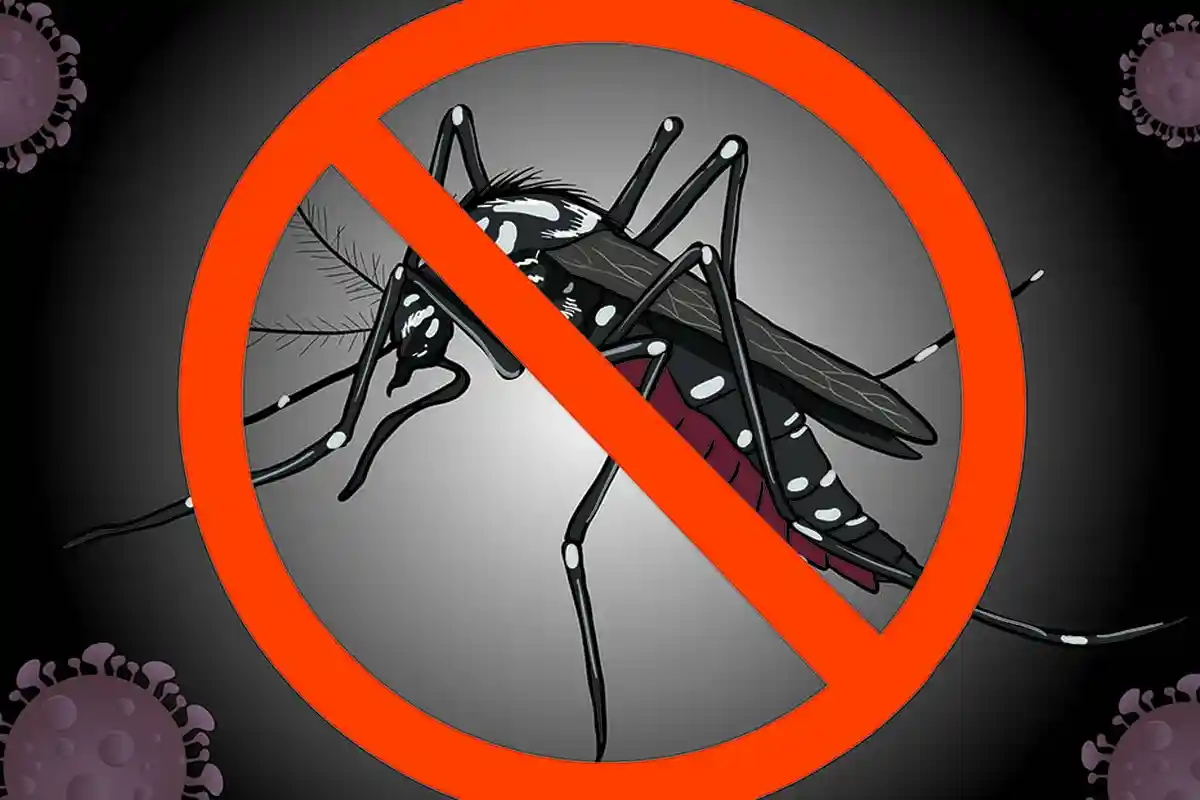 179 Kasus DBD Selama Pandemi Covid-19 di Jembrana, Menyebar di Seluruh Kecamatan