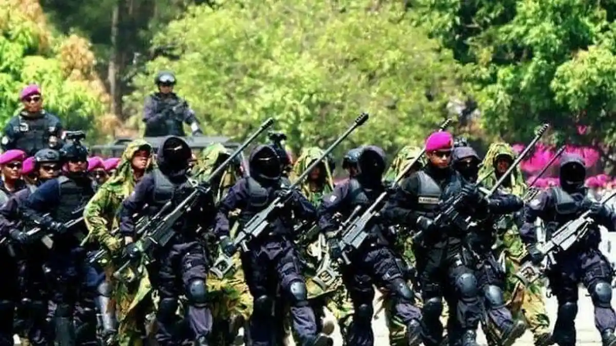 Denjaka Diisukan Sudah Mendarat di Papua Hadapi KKB, TNI AL: Mereka Itu Pasukan Siluman