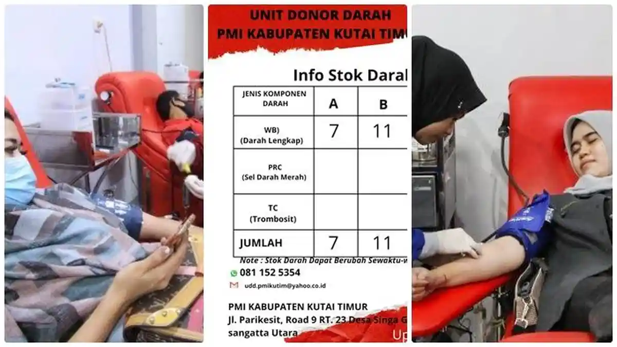 Stok Darah di UTD PMI Kutai Timur Kaltim Menipis, Gol AB Sisa 3 Kantong
