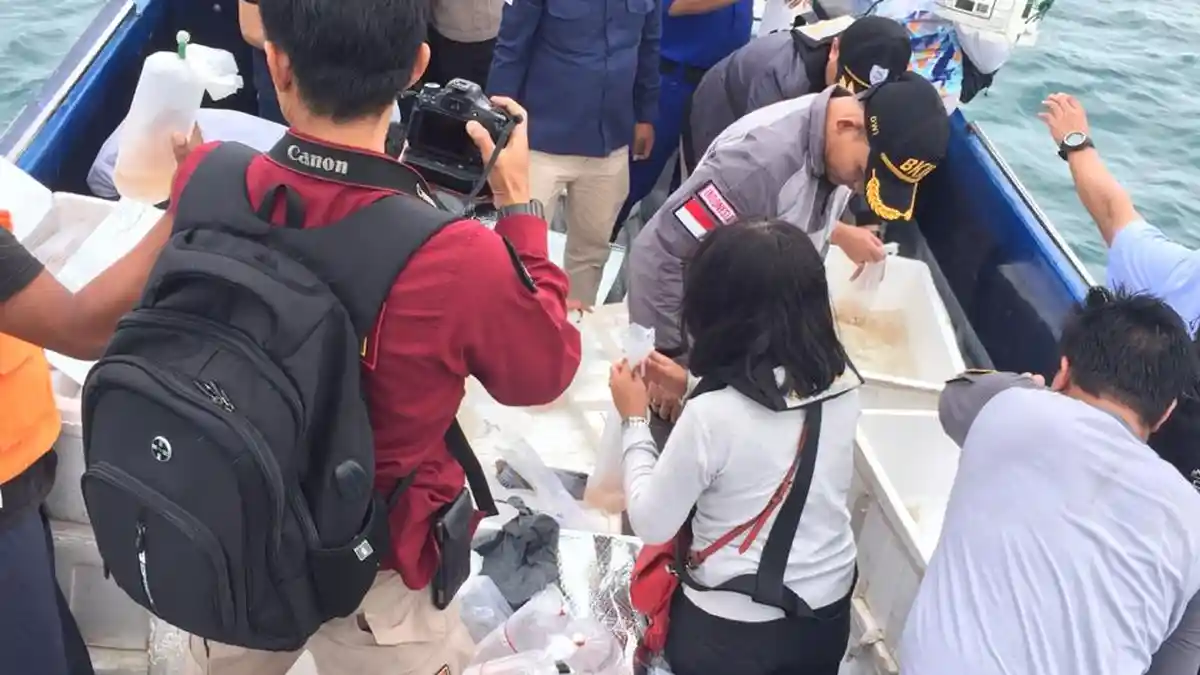 Ribuan Baby Lobster Senilai Miliaran Rupiah Dilepas di Pulau Abang Galang Batam