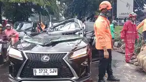 Mobil-Lexus-tertimpa-pohon-tumbang.jpg