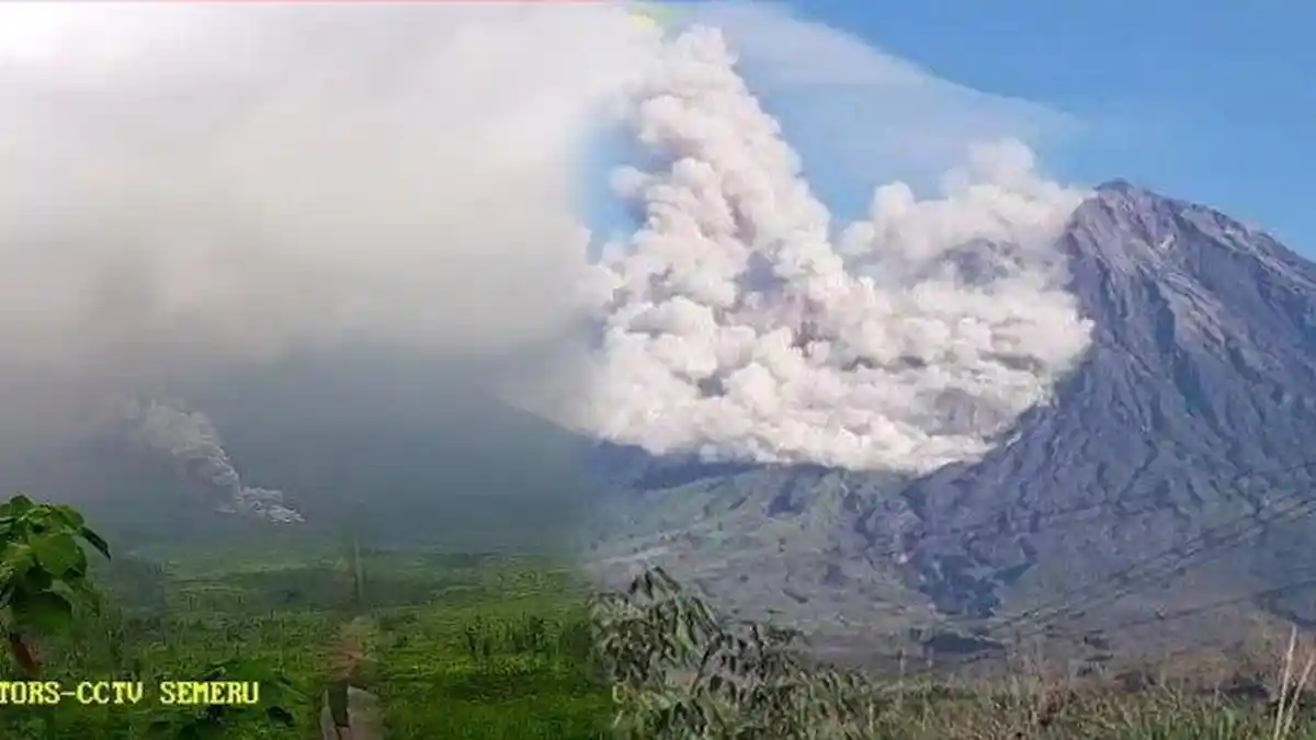 UPDATE Erupsi Gunung Semeru Sudah Turun Hujan Abu, Awan Panas Meluncur 11 Kilometer dari Puncak