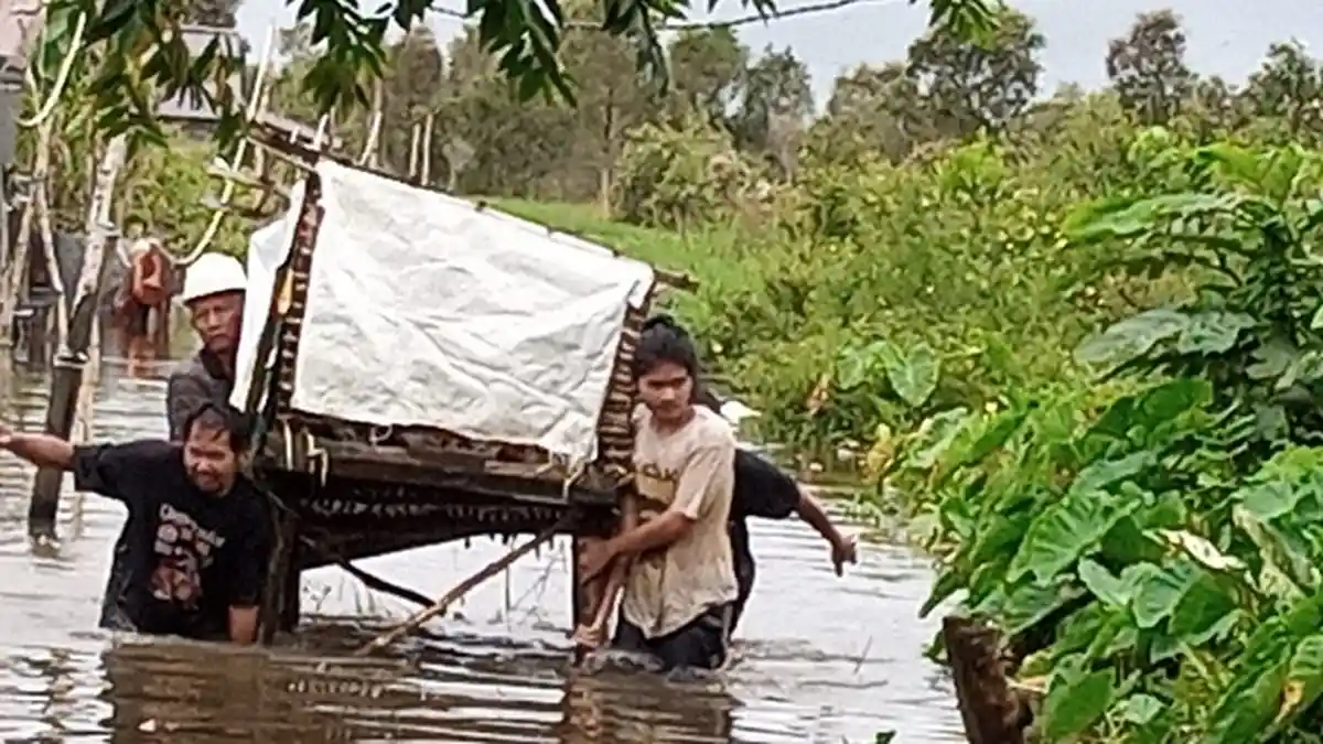 Terdampak Banjir, Peternak Banjarbaru Merugi, 2.000 Ekor Itik Mati dan 1.000 Hilang