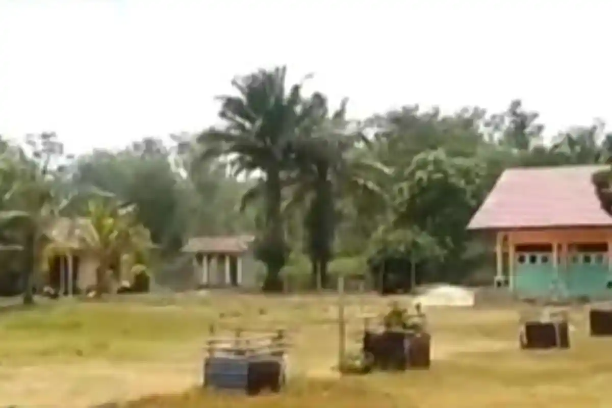 Sering Dibobol Maling & Dimasuki Hewan Ternak, Cerita SMP N 20 di Sarolangun, yang Tidak Ada Pagar