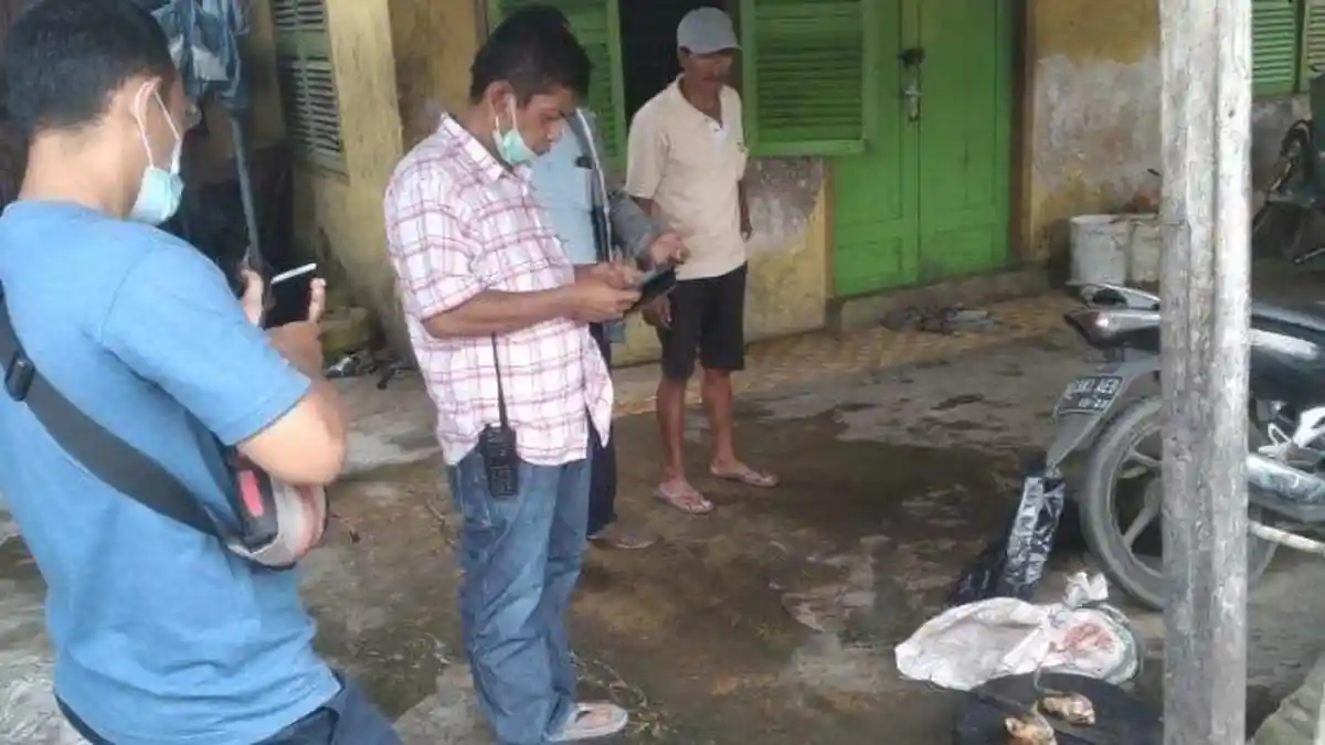 Penjagalan Kucing di Medan, Polisi Jerat Pelaku dengan Pasal Pencurian, Ancaman 5 Tahun Penjara