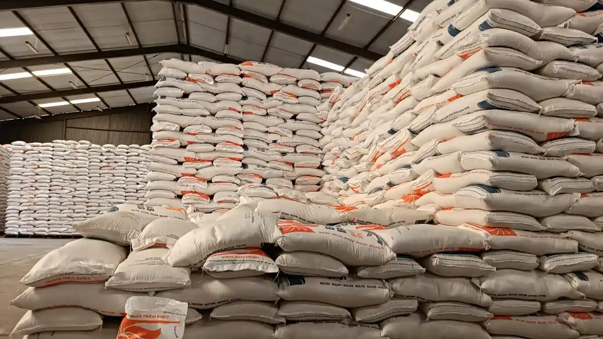 HARI INI Turun, Harga Beras Diperkirakan Bakal Melambung Lagi, Ini Jadi Pemicunya