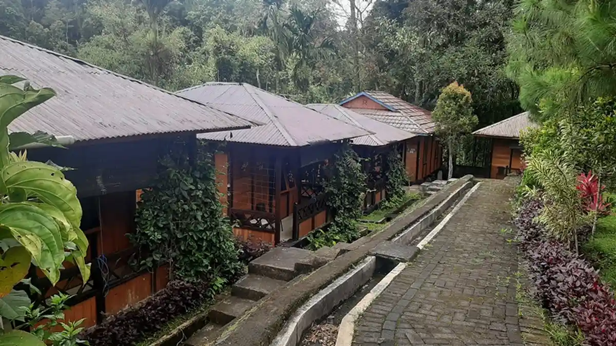 Ingin Liburan Sekaligus Tenangkan Pikiran? Coba ke Mountain View Resort Tomohon