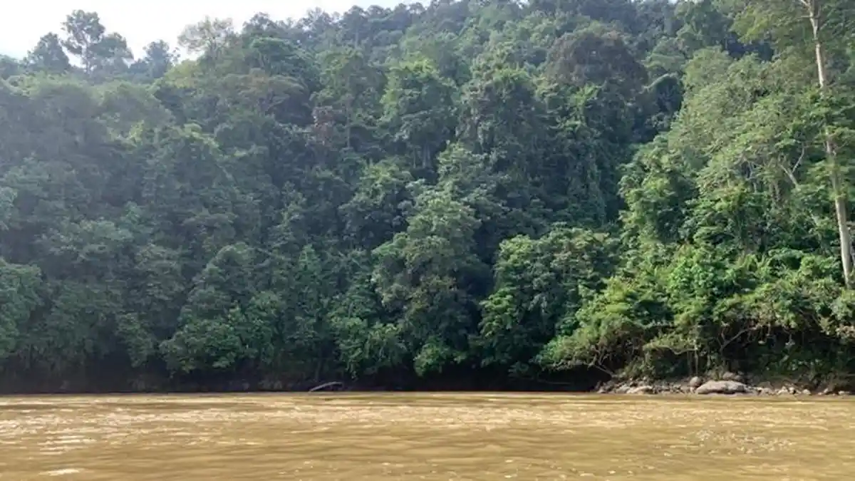 Cuaca di Berau Hari Ini, 4 Kecamatan Berpotensi Hujan Merata Sejak Pagi