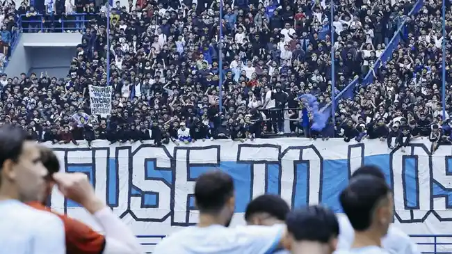 Tribun