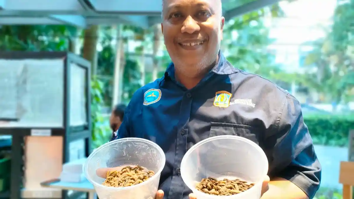 Petani Maggot Balikpapan, Beternak Demi Lingkungan Hidup dan Raih Cuan