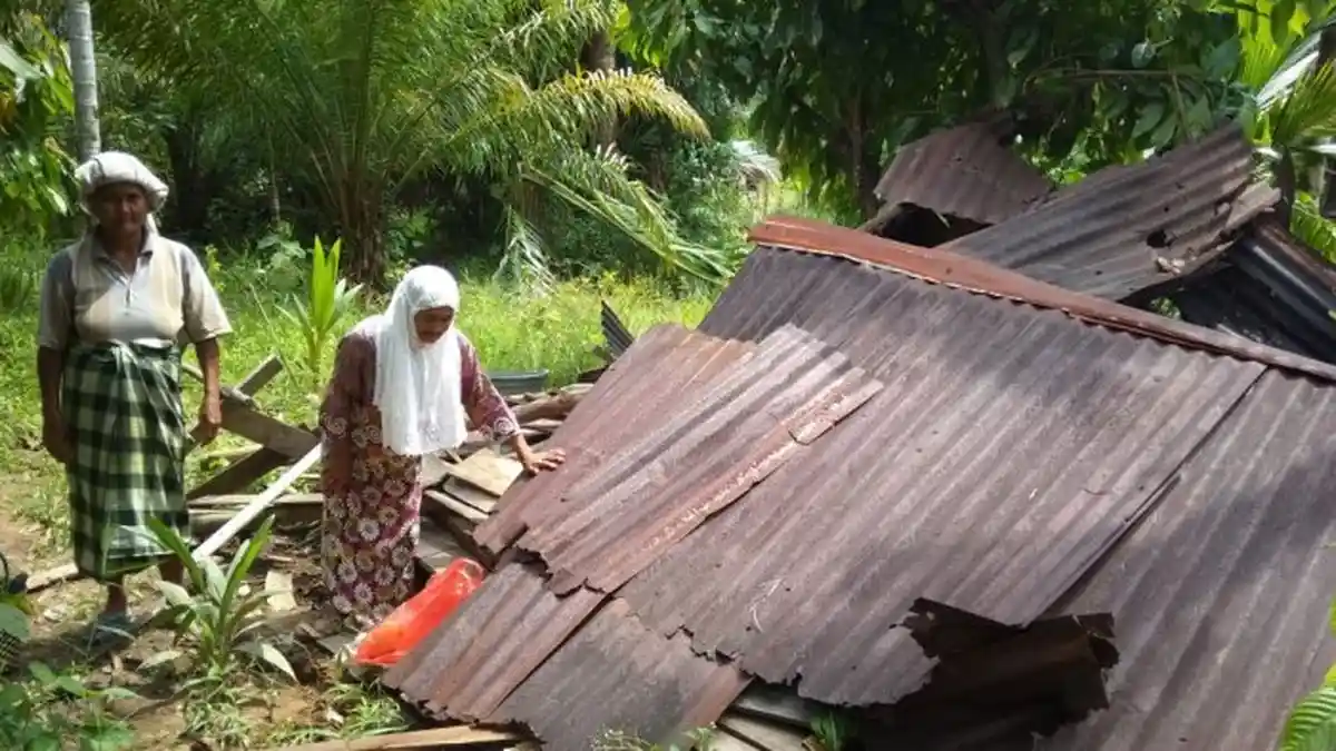 Kawanan Gajah Liar Hancurkan Dua Rumah Warga Dusun Lampoh Saban