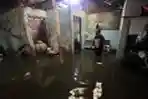 Banjir Rob di Kamal