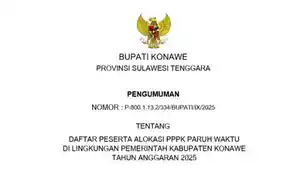 alokasi-PPPK-paruh-waktu-Konawe-Sulawesi-Tenggara.jpg