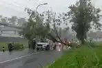 Pohon Tumbang Timpa Mobil Akibat Hujan Angin di Sleman