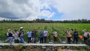 Kelompok-Tani-Mujur-Binaan-JOB-Tomori-Panen-Raya-di-Moilong-Banggai.jpg