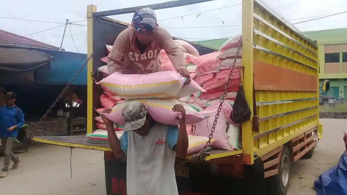 Harga Beras di Mamuju Sulbar Naik, Segini Harganya Sekarang