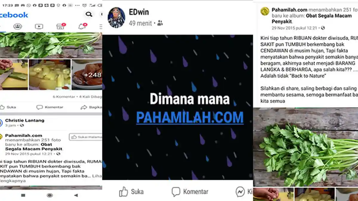 VIRAL, Postingan Pahamilah.com Penuhi Beranda Facebook, Netizen: Ini Semacam Ponzi yang Nyepam?