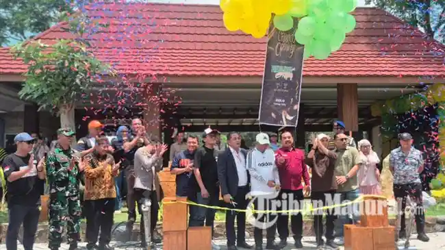 Tribun