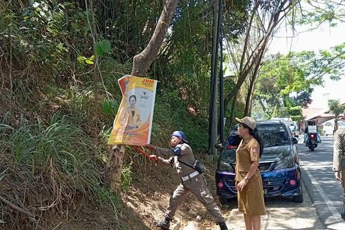 Melanggar Perda, Ratusan Baliho dan Poster Caleg Tertempel di Pohon Ditertibkan
