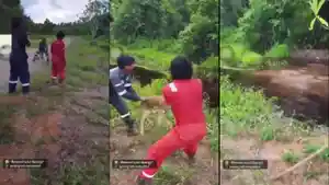 video-viral-anjing-hidup-dilempar-ke-arah-buaya.jpg