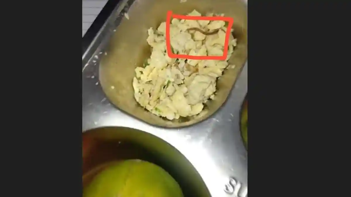 MBG di SMA Negeri 6 Medan Ditemukan Cacing, Kepala BGN Sumut: Cacing Tanah, Tim Lagi Cek ke Sekolah