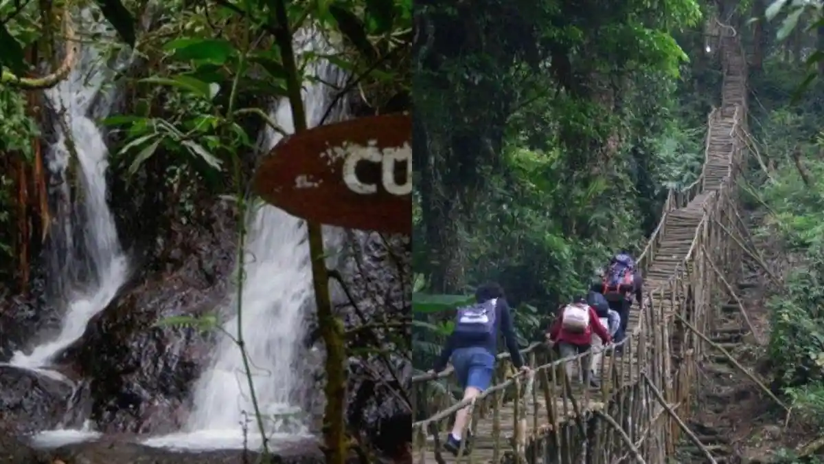 5 Rekomendasi Tempat Wisata yang Murah di Puncak Bogor, HTM Mulai Rp 15 Ribu per Orang