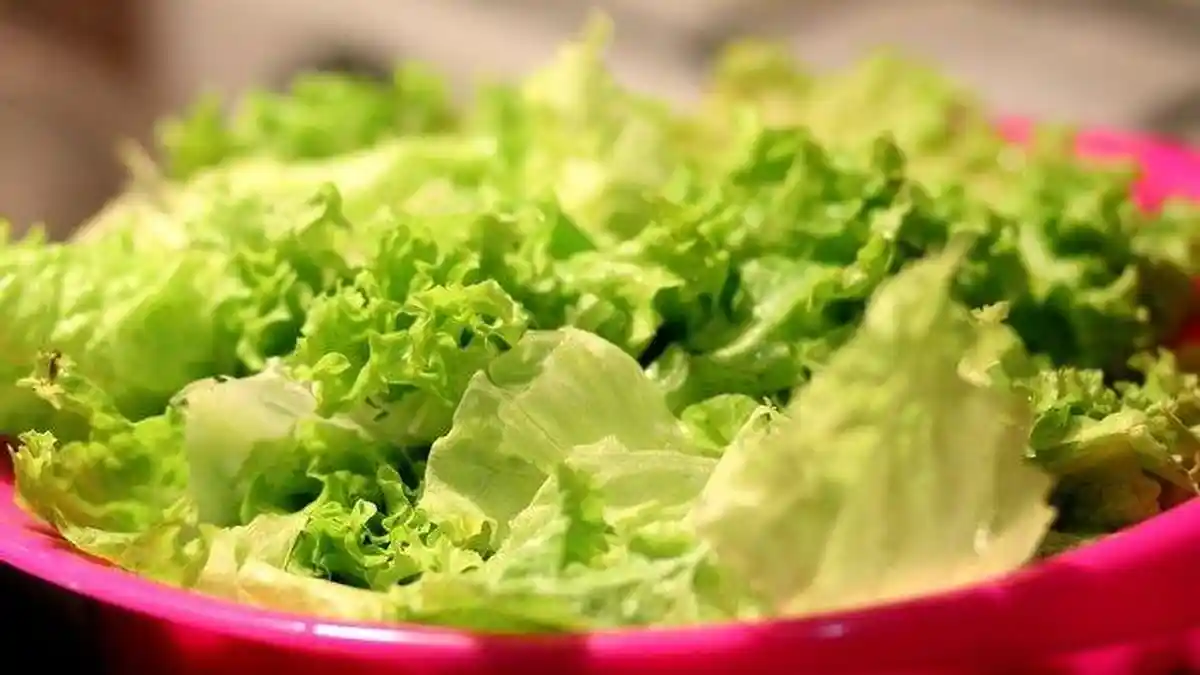 Sayur Selada Diipercaya Obat Kuat Mesir Kuno