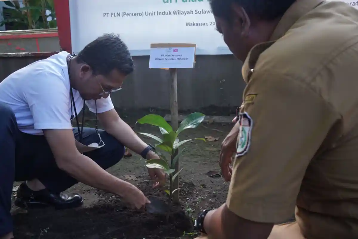 PLN Tanam 500 Pohon Produktif di Pulau Barrang Lompo