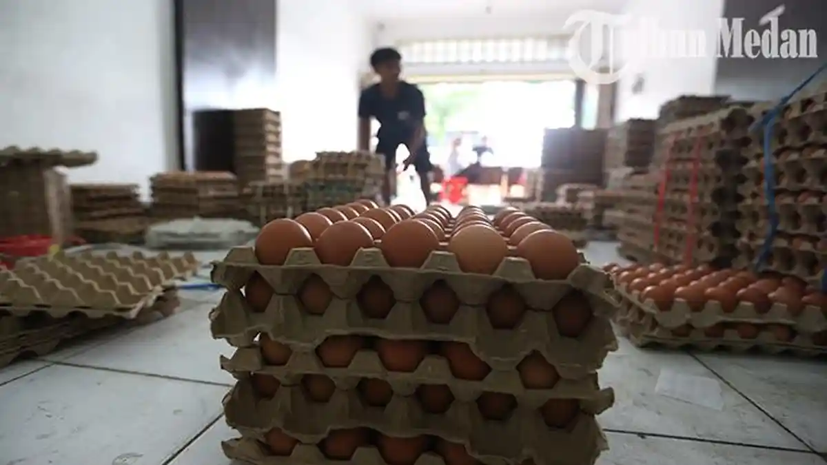 Berita Foto: Omzet Penjualan Pedagang Merosot Hingga 50 Persen, Harga Telur Melonjak - 01062023_KENAIAKAN-HARGA-TELUR_ABDAN-SYAKURO-3.jpg