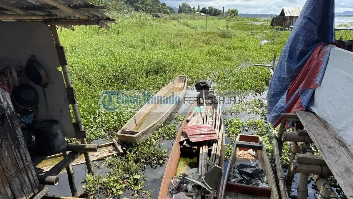 Nelayan di Danau Tondano Hadapi Dua Masalah Besar, Berkembang Cukup Cepat