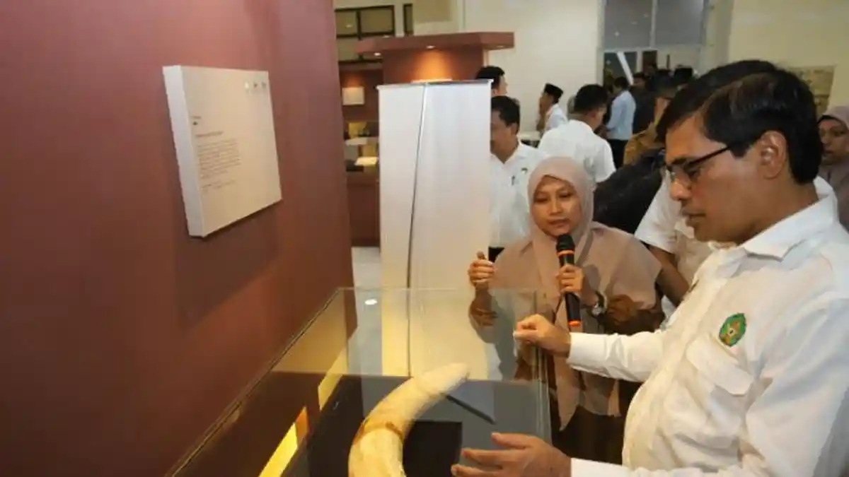 Rektor UIN Ar-Raniry Buka Pameran Keliling Museum Aceh, Ajak Generasi Muda Kenali Sejarah