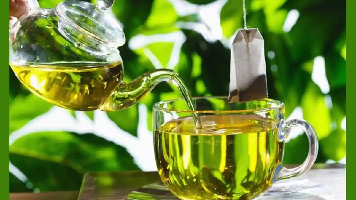 Inilah 9 Tanaman Herbal untuk Mengobati Asam Urat (2): Jahe Merah, Brotowali hingga Sidaguri