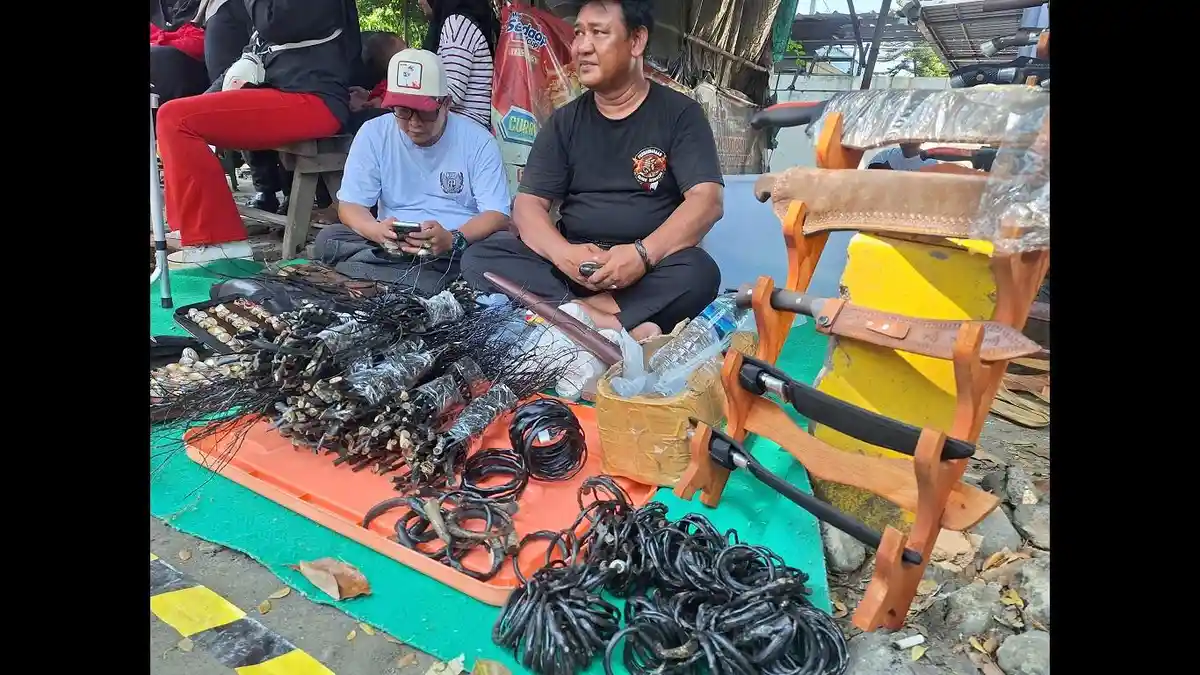 Menilik Akar Bahar, Diburu Kolektor karena Diyakini Punya Khasiat Kesehatan dan Nilai Spiritual