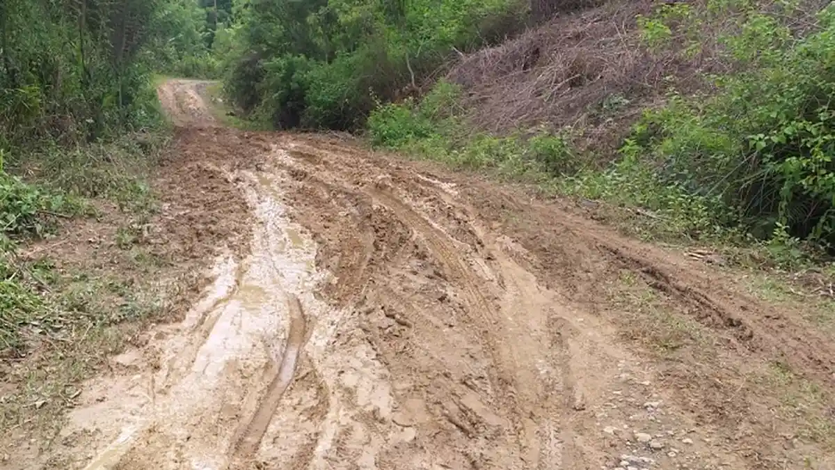 Jalan Rusak Parah Menuju Desa Terpencil di Aceh Tengah, Warga Minta Perhatian Pemerintah