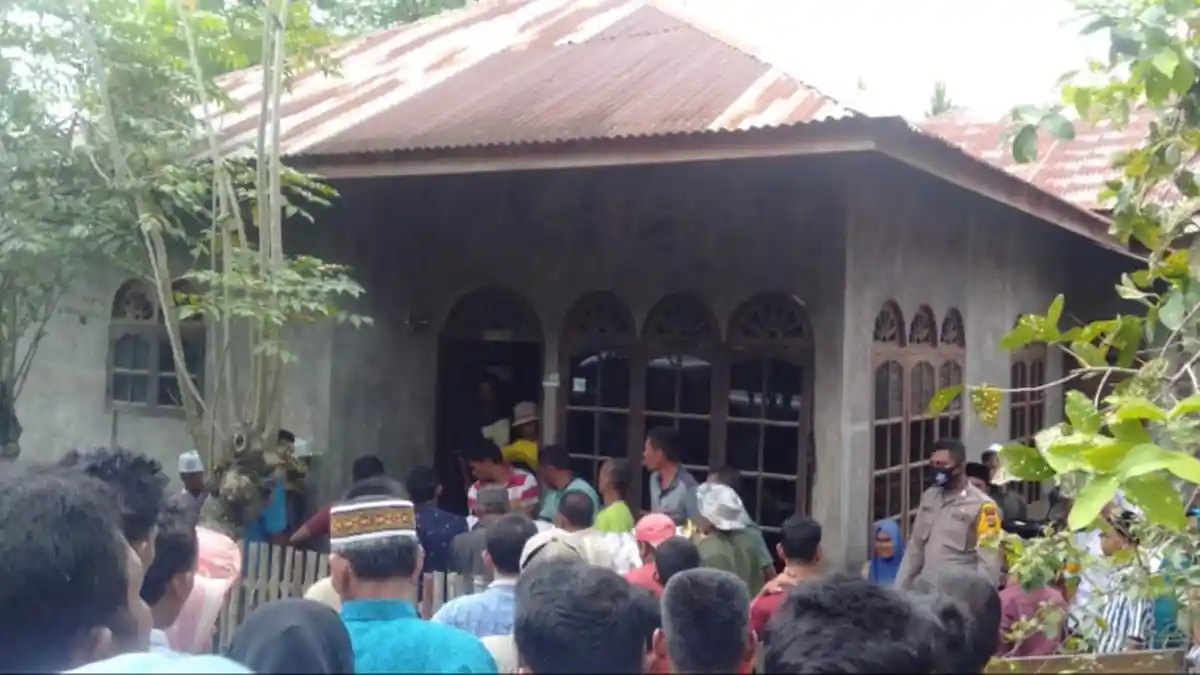 Warga Panteraja Meniggal Diserang Babi Hutan