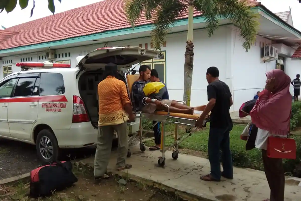 Terjatuh saat Dikejar Gajah, Abdullah Terinjak Gajah di Bagian Wajah, Konflik Hewan vs Manusia