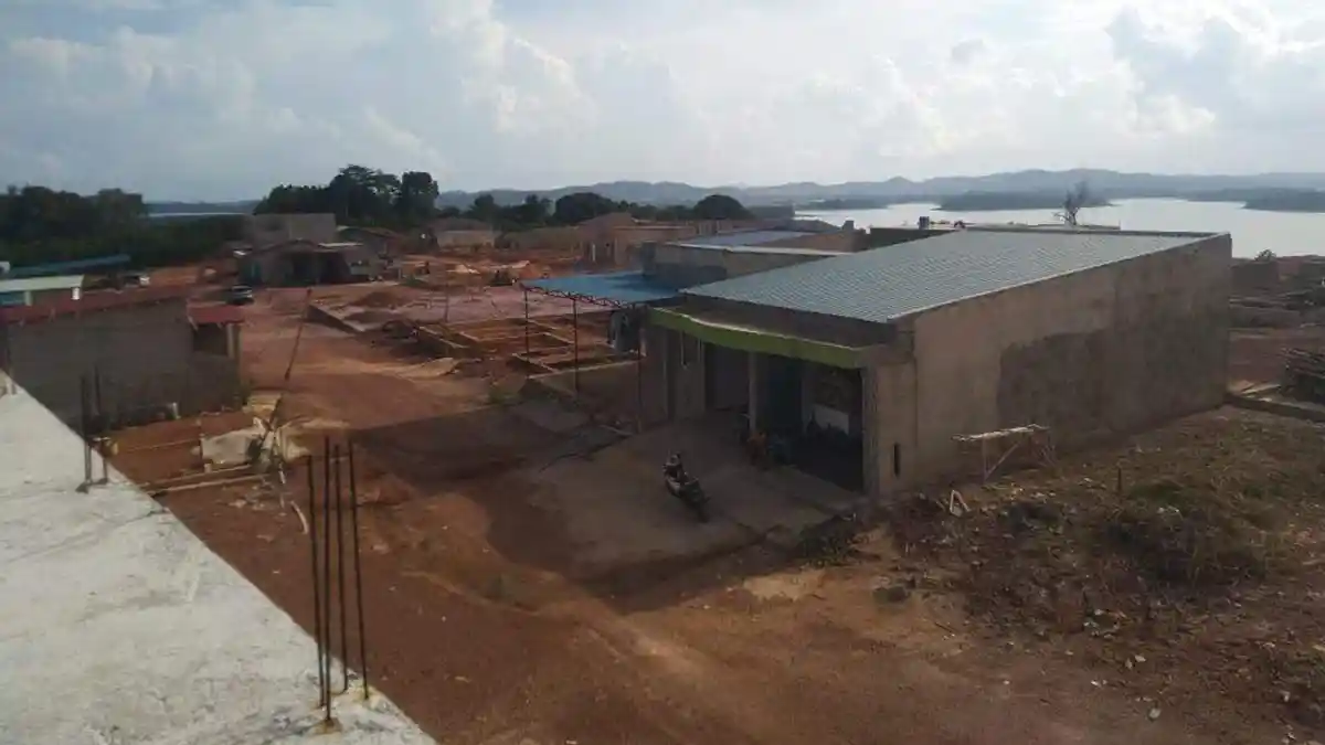Change the Protected Forest into a Vacant Lot, Commissioner of PT PMB Threatened 10 Years in Prison