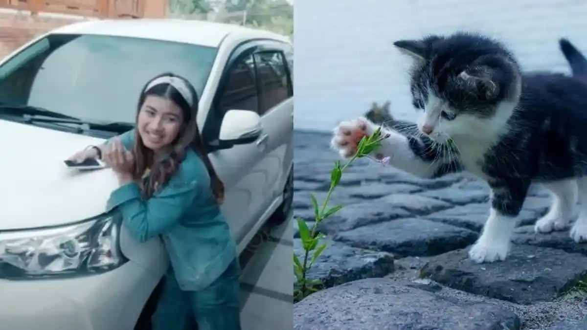 Menjerit, Reaksi Nabila Maharani saat Didekati Kucing, Ini Fakta Teman Duet Tri Suaka yang Satu Ini