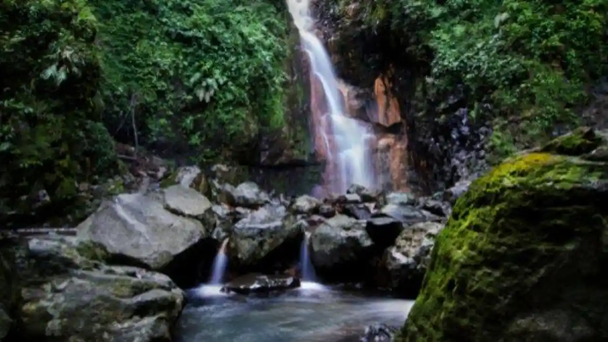 Dikira Pungli, Harga Tiket Curug Nangka di Bogor Naik Jadi Rp 54.400 di Akhir Pekan, Warga Kaget