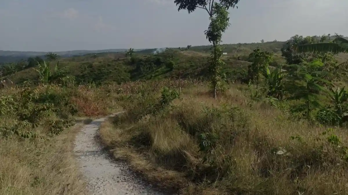 Prakiraan Cuaca Blora Jumat 22 Juli 2022, Sebagian Besar Cerah Berawan, Malam Hari Hujan Ringan