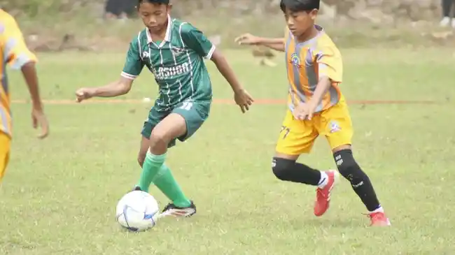 Tribun