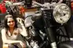 Harley Davidson 2011 di Medan